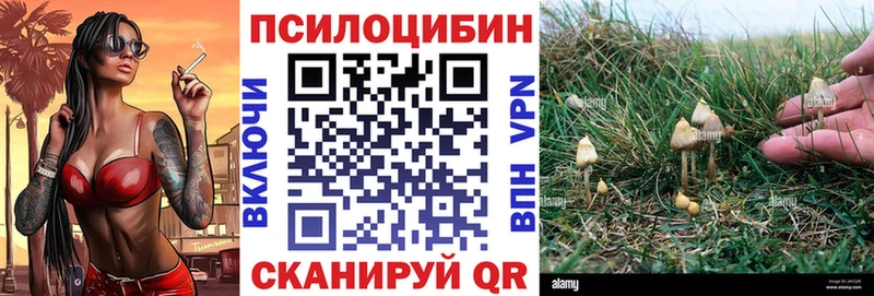 Псилоцибиновые грибы мухоморы  Волосово 